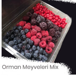 Orman Meyveleri Mix