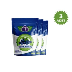 Dondurularak Kurutulmuş Yaban Mersini (Freeze Dried) 15G 3'lü